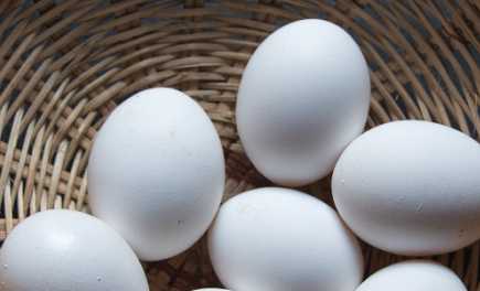 The Everyday Science of Eggs